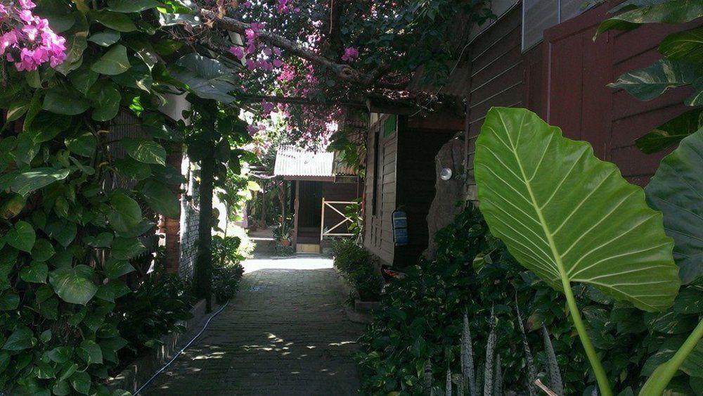 Ombak Inn Chalet Kampung Teluk Nipah Kültér fotó