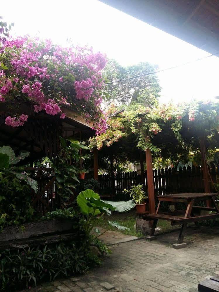 Ombak Inn Chalet Kampung Teluk Nipah Kültér fotó
